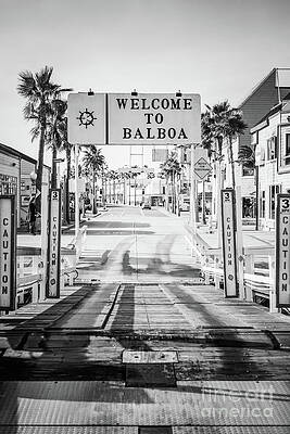 California Wall Art featuring the photograph Newport Beach Balboa Ferry Sign Black And White Photo by Paul Velgos