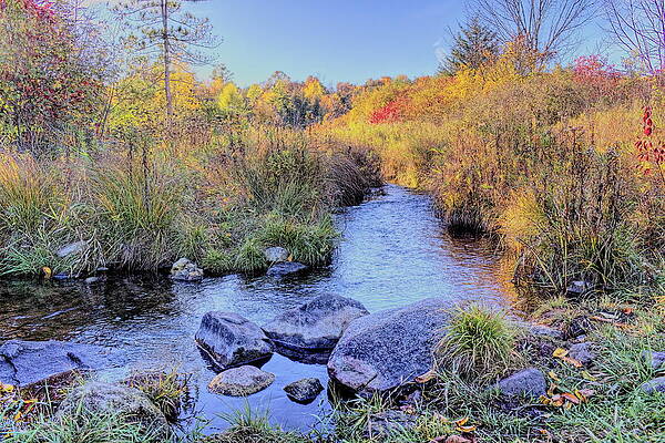 Country Wall Art featuring the photograph Nichols Creek Wildlife Area 6 by Dale Kauzlaric
