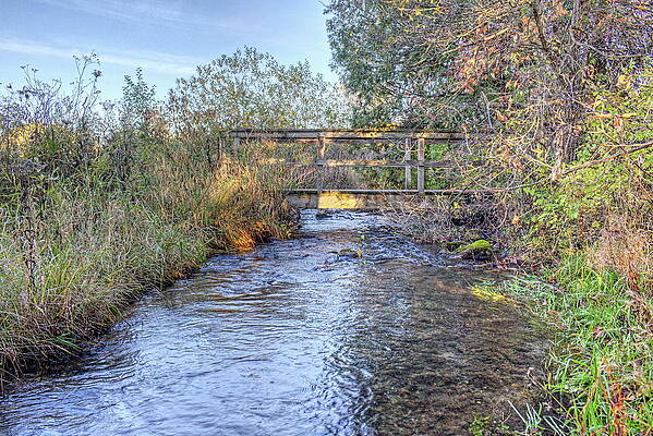 Spring Photograph - Nichols Creek Wildlife Area 8 by Dale Kauzlaric