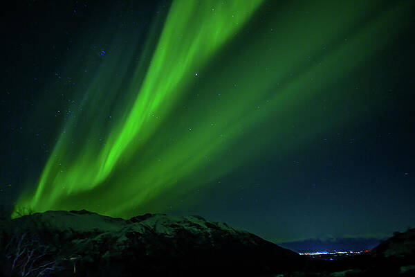 Landscape Wall Art featuring the photograph Night Lights by Harry Banks