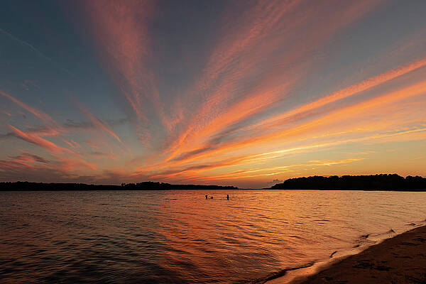 Water Photograph - Night Swimming by David Fountain