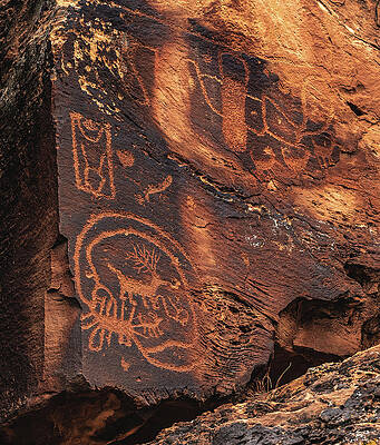 Canyon Photograph - Nine Mile Canyon Elk Petroglyph by Abbie Warnock