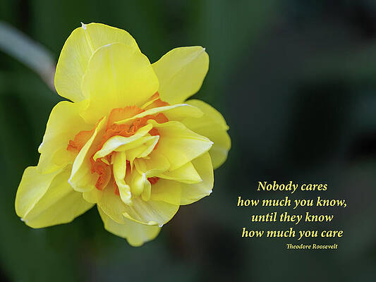 Nobody Cares by Gina Fitzhugh