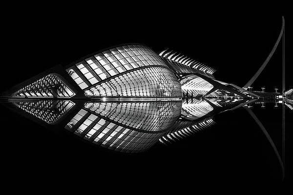 Architecture Wall Art featuring the photograph Nocturnal Elegance by Elvira Peretsman