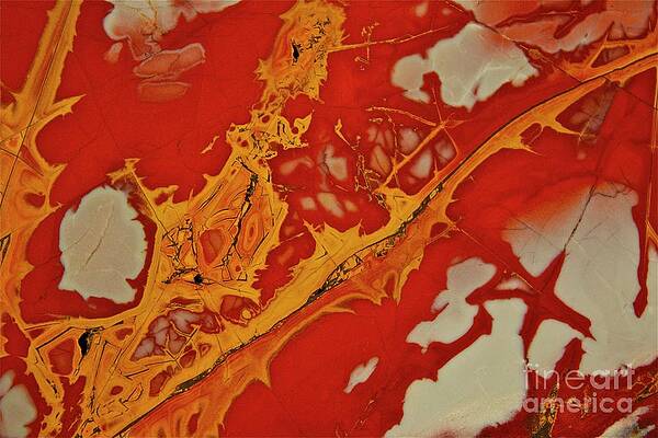 Abstract Photograph - Noorena by Eric Kyle