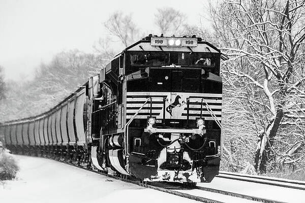 Nature Photograph - Norfolk Southern 1198 by Deb Beausoleil