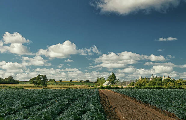 Wall Art featuring the photograph Normandy Countryside 1 by Lisa Chorny