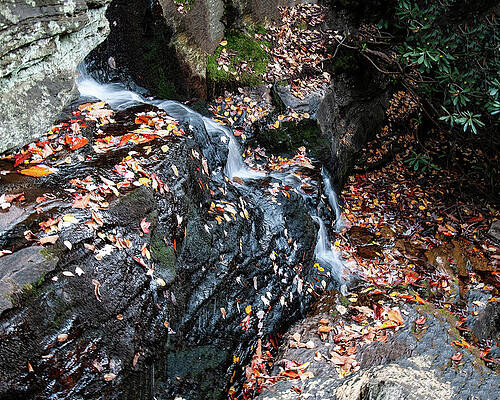 North Carolina Wall Art featuring the photograph North Carolina Waterfall 001 by Flees Photos