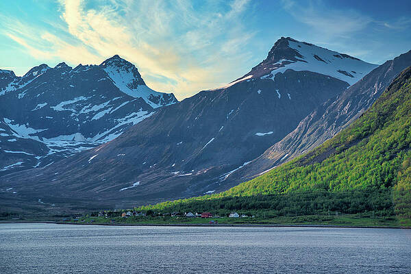Wall Art featuring the photograph Norwegian Village On The Fjord by Matthew DeGrushe