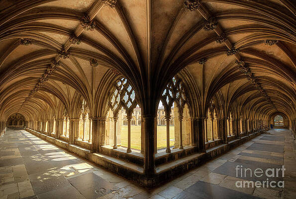 Wall Art featuring the photograph Norwich Cathedral Cloisters by Neale And Judith Clark