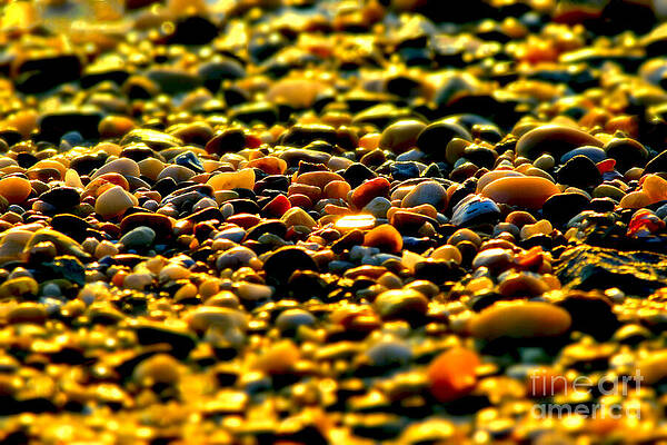 Wall Art featuring the photograph Not All That Glitters Is Gold by Debra Banks