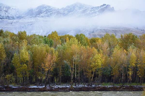 Landscape Photograph - Notes Of Autumn by Alden White Ballard