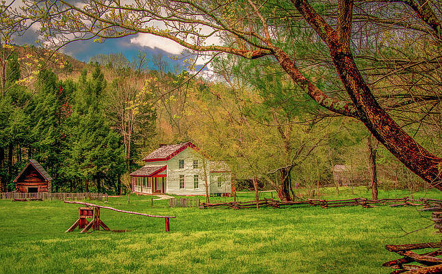 Vibrant Wall Art featuring the photograph Nothing Like A Cades Cove Spring by Marcy Wielfaert
