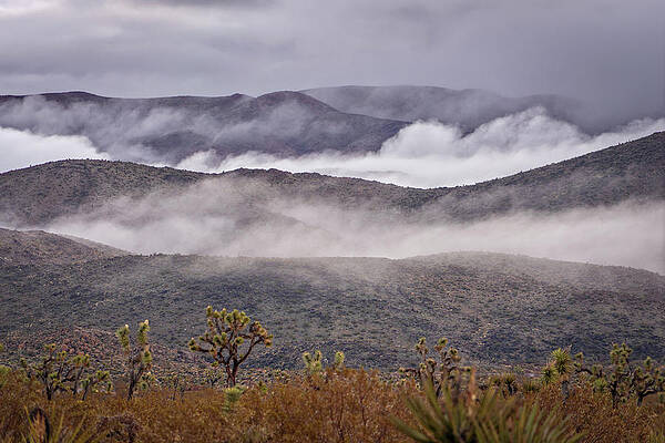 Serene Photograph - November 2019 Misty Morning by Alain Zarinelli