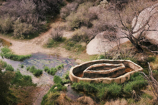 Wall Art featuring the photograph November 2025 Watering Hole by Alain Zarinelli