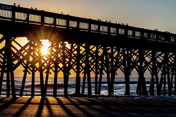 South Carolina Wall Art featuring the photograph November Morning At Folly Beach Pier by Douglas Wielfaert