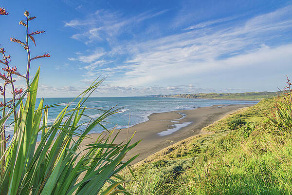 Greenery Photograph - NZ Coast by Nova Rae