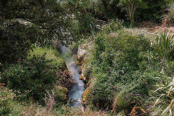 Greenery Photograph - NZ Hot Spring by Nova Rae