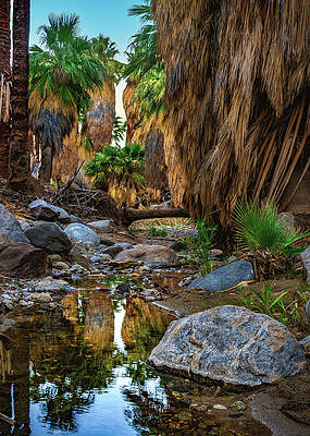California Photograph - Oasis Water, California - Vertical by Abbie Warnock