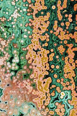 Abstract Photograph - Effervescence by Eric Kyle