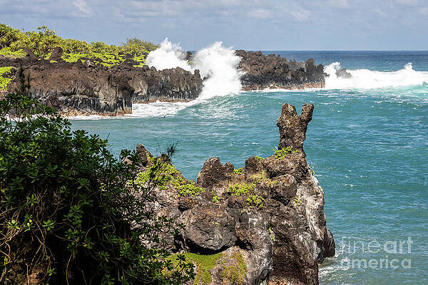 Tree Wall Art featuring the photograph Ocean Meets Volcanic Shore by Craig A Walker