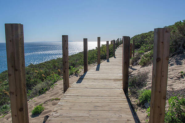 Wall Art featuring the photograph Oceanfront Boardwalk Trail In Malibu by Matthew DeGrushe