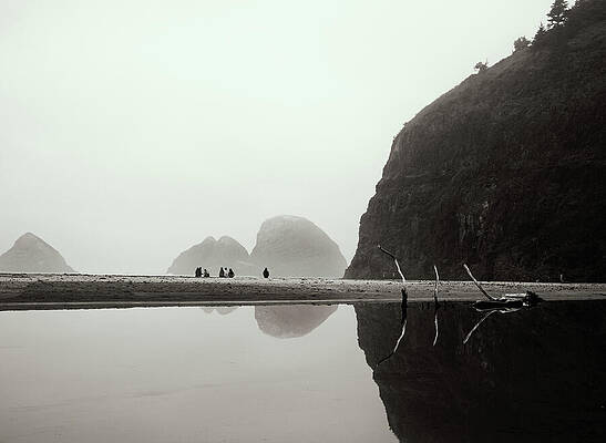 Misty Coastal Reflections Wall Art