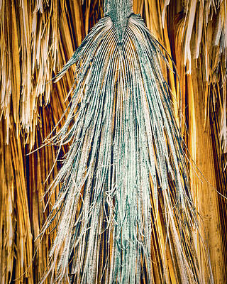 Nature Photograph - October 2022  Fading Away by Alain Zarinelli