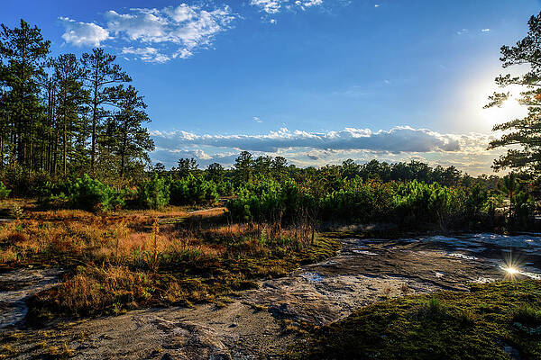 Atlanta Wall Art featuring the photograph October Afternoon On Arabia Mountain by Anthony Hightower