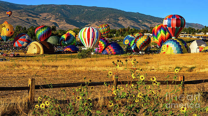 Reno Wall Art featuring the photograph Off To The Races II by Ron Long Ltd Photography