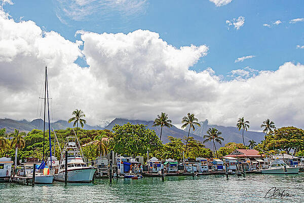 Sky Wall Art featuring the photograph Oh Those West Maui Clouds by Charlie Osborn