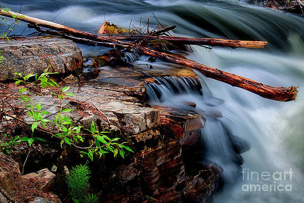 Wall Art featuring the photograph Old And New by Thomas Nay