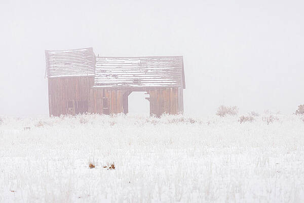 Rustic Wall Art featuring the photograph Old Barn In The Fog by Mike Lee