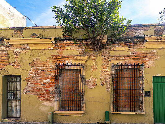 Mexico Wall Art featuring the photograph Old Building In Centro Mazatlan by Tommy Farnsworth
