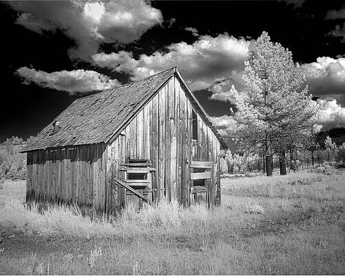 American Wall Art featuring the photograph Old Cabin Infrared by Mike Lee