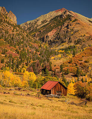 Wall Art featuring the photograph Old Colorado Cabin In Fall Telluride by Dan Sproul