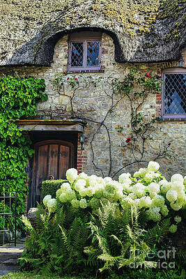 Garden Photograph - Old English Thatched Cottage by Abigail Diane Photography