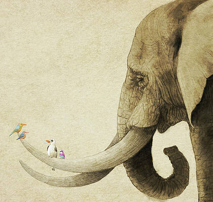 Elephant with Colorful Birds Wall Art