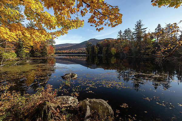 Fall Wall Art featuring the photograph Old Friend by Todd Wilkinson