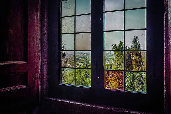 Vintage Photograph - Old Friends  Looking Out by Robert Niemeier
