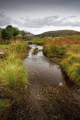 Fall Wall Art featuring the photograph Old Kenmare Road Crossing by Mark Callanan