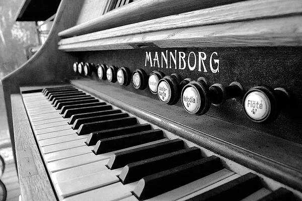 Portland Photograph - Old Melody by Mia Badenhorst
