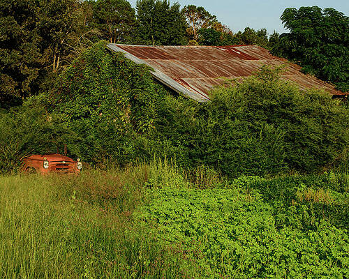 Wall Art featuring the photograph Old NC Barn by Flees Photos