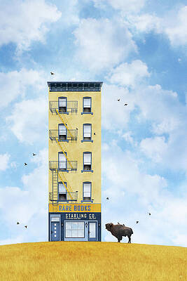 Starling Co. by Moira Risen