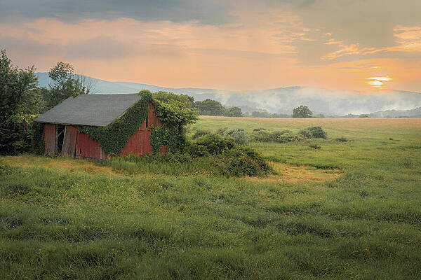 Summer Photograph - Pastoral Summer Sunset by Dave King