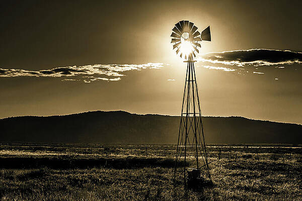 Wall Art featuring the photograph Old Reliable by Mike Lee