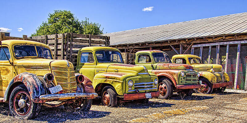 Transportation Photograph - Old Rusted And Yellow In A Row by Tatiana Travelways