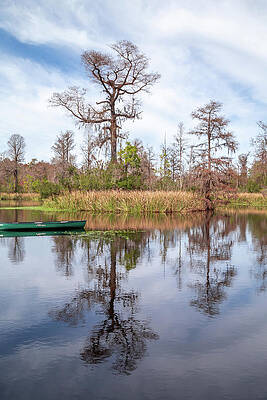 Reflection Photograph - Old Santee Canal Park 8 by Cindy Robinson