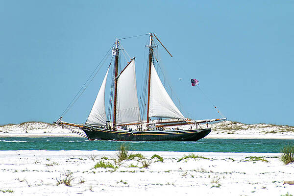 Boat Wall Art featuring the photograph Old Tall Ship At Pensacola Pass by Beachtown Views