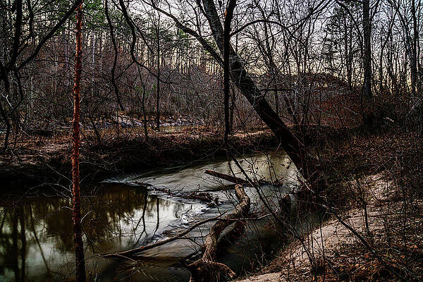 Winter Wall Art featuring the photograph Olde Rope Mill Raceway Entrance - Woodstock, GA by Anthony Hightower
